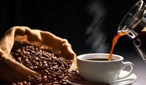 24 de Maio: Dia Nacional do Café celebra cultura, economia e tradição brasileira