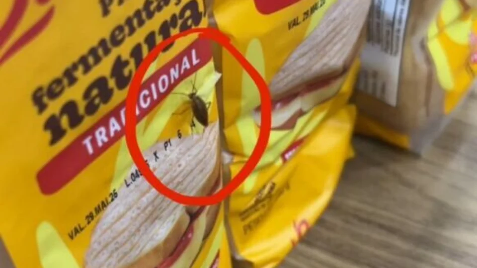 Supermercado é autuado em Manaus por baratas, produtos vencidos e fezes de rato