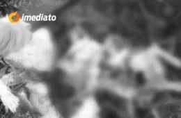 VEJA VÍDEO: homem ‘fatia’ cobra com facão para salvar cachorro que seria devorado