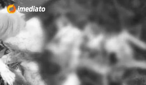 VEJA VÍDEO: homem ‘fatia’ cobra com facão para salvar cachorro que seria devorado