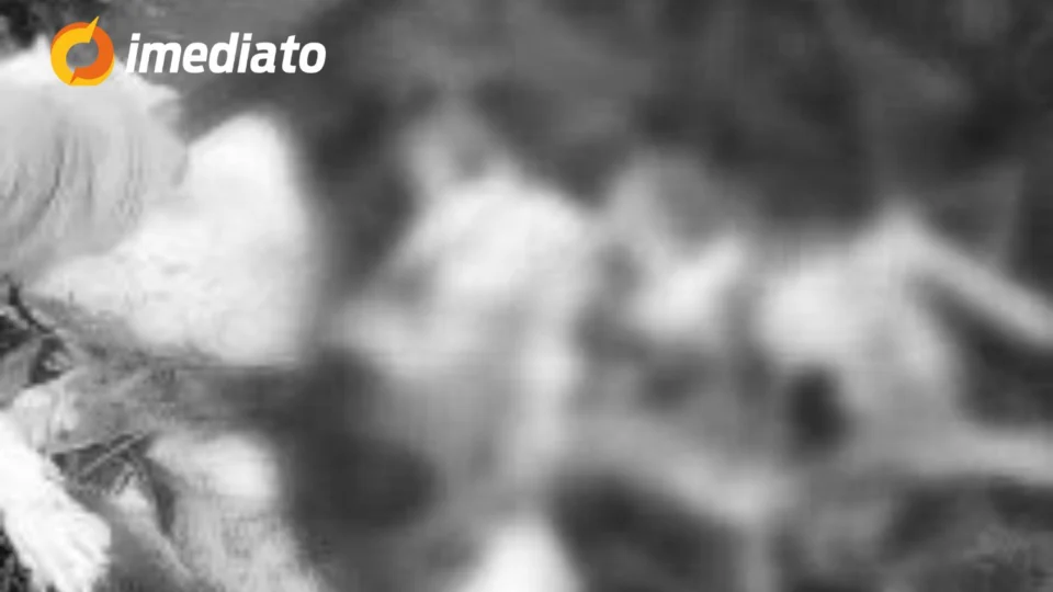 VEJA VÍDEO: homem ‘fatia’ cobra com facão para salvar cachorro que seria devorado