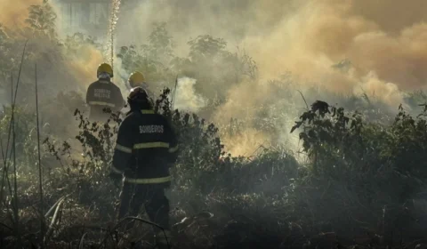 Incêndio em área de mata na Avenida das Torres mobiliza Corpo de Bombeiros em Manaus