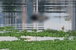 Corpo é encontrado boiando no Igarapé do Educandos na manhã deste domingo (1º)