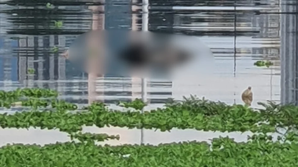 Corpo é encontrado boiando no Igarapé do Educandos na manhã deste domingo (1º)