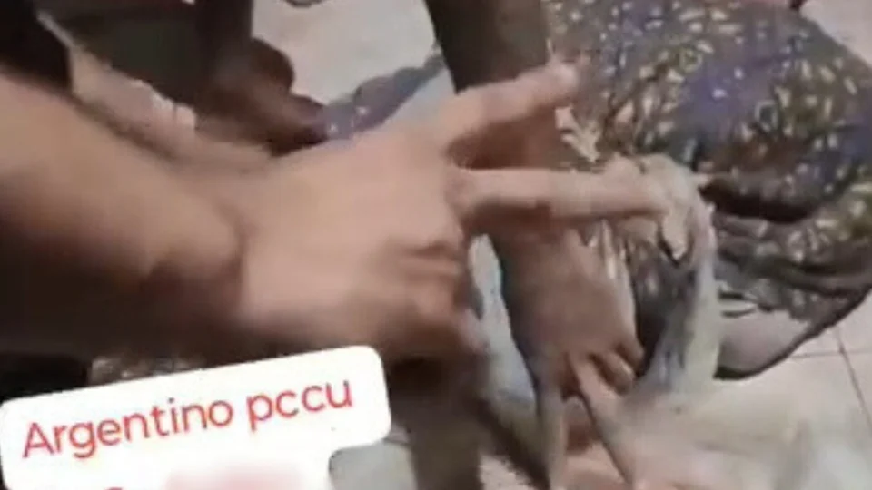 Vídeos: ‘Argentino’ é morto, esquartejado e queimado por facção criminosa no Jorge Teixeira