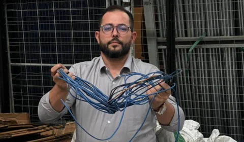 TI Verde: setor aposta em soluções para reduzir o impacto ambiental