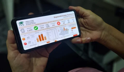 Casos de esporotricose humana ultrapassam 800 no amazonas em 2024