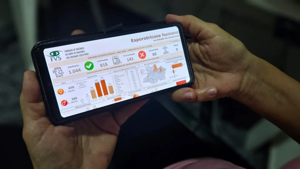 Casos de esporotricose humana ultrapassam 800 no amazonas em 2024