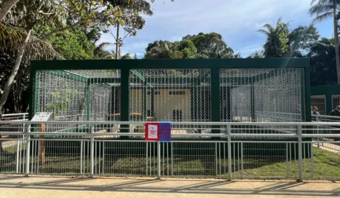 Centro de Instrução de Guerra na Selva inaugura novo recinto das onças em Manaus