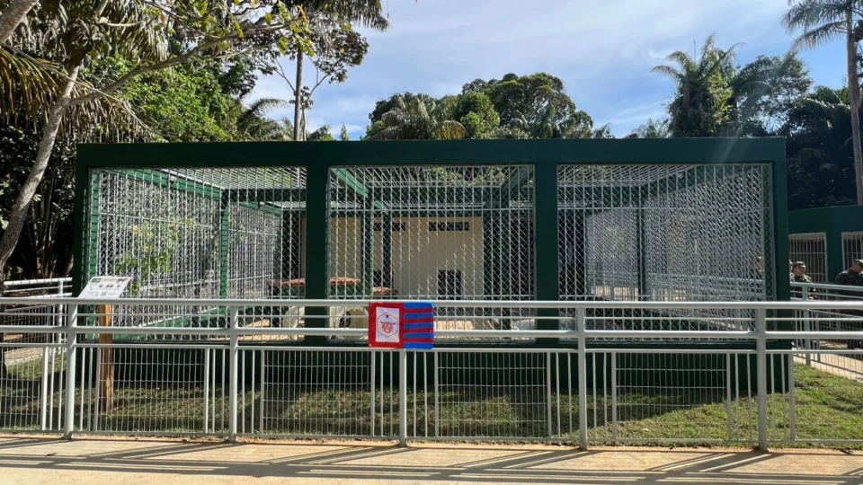 Centro de Instrução de Guerra na Selva inaugura novo recinto das onças em Manaus