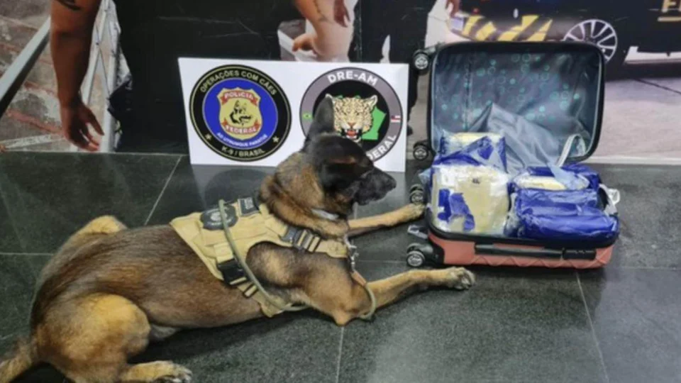 Passageira é presa com 9 kg de Skunk no Aeroporto de Manaus