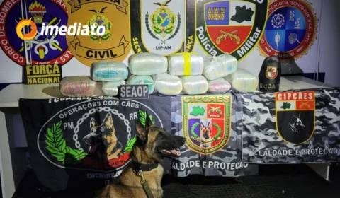 Cadela policial ajuda na apreensão de drogas escondidas em caixa de peixe no interior do Amazonas