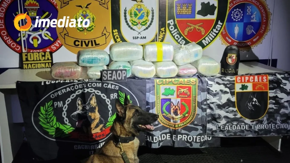 Cadela policial ajuda na apreensão de drogas escondidas em caixa de peixe no interior do Amazonas