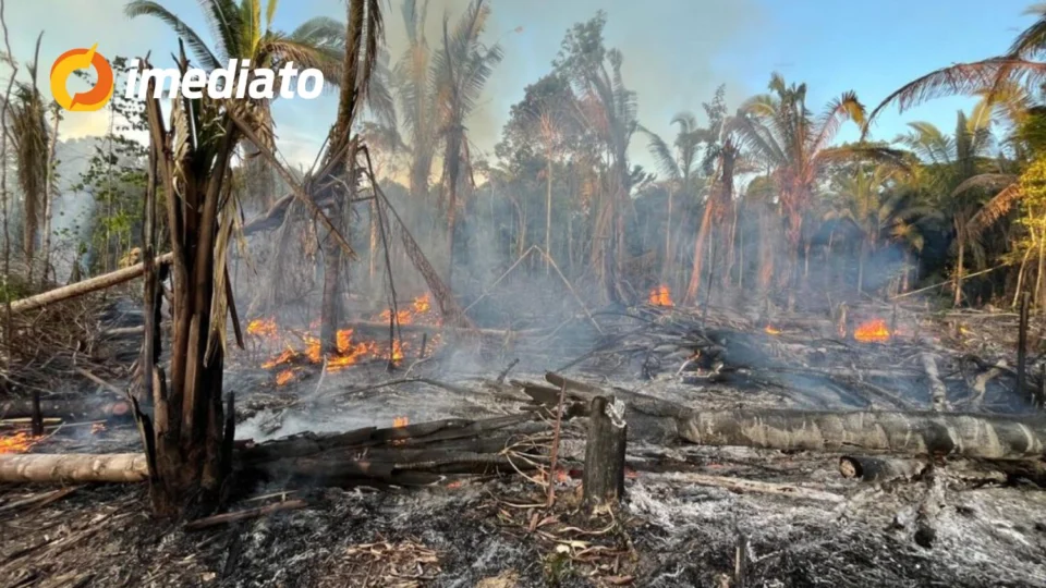 VEJA VÍDEO: Polícia prende dois homens em flagrante por incêndio criminoso no interior do Amazonas