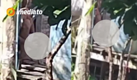 VEJA VÍDEO: Homem é flagrado por morador abusando de cadela no interior do Amazonas