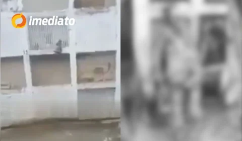 VEJA VÍDEO: Coveiro encontra cadáver de mulher em pé ao lado de túmulo