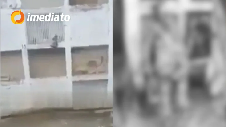 VEJA VÍDEO: Coveiro encontra cadáver de mulher em pé ao lado de túmulo