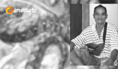 IMAGEM CHOCANTE: Idoso desaparecido é encontrado dentro de píton após celular da vítima tocar dentro do animal