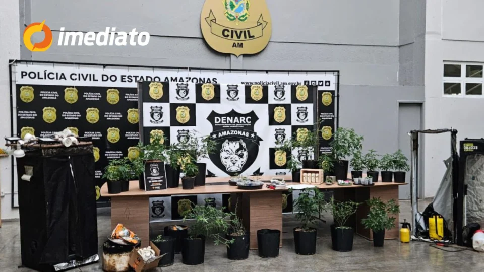 Homem é preso por cultivar ‘supermaconha’ em estufas dentro de imóvel comercial em Manaus