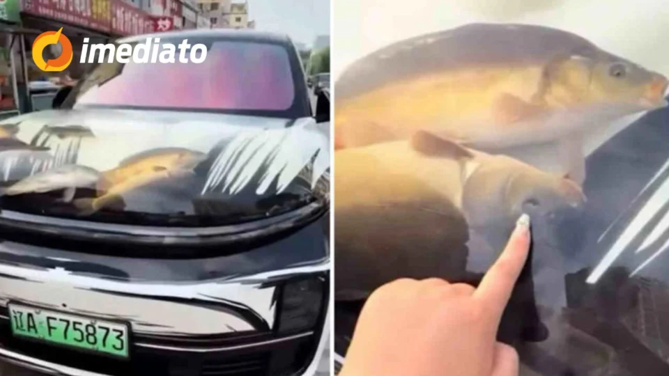 VEJA VÍDEO: Chinês é acusado de maus-tratos após usar capô de carro como aquário