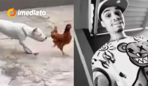 VEJA: Influenciador é denunciado por maus-tratos após exibir cães comendo aves vivas em vídeos