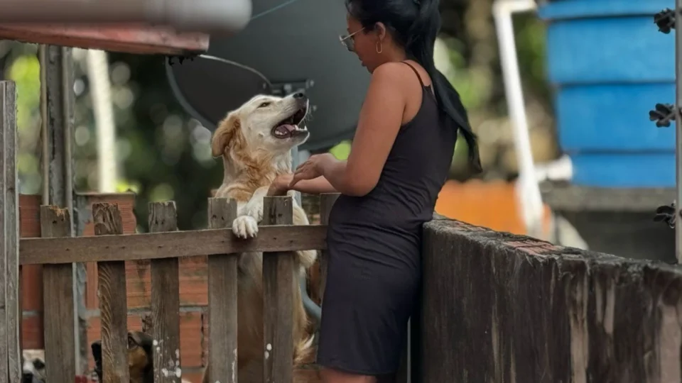 Mulher busca ajuda para doar oito cães após morte do marido no bairro Monte das Oliveiras, em Manaus