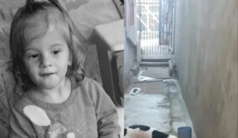 Imagens fortes: Pit-bull adotado há 2 meses ataca e mata criança de 2 anos em SP; PM precisou atirar no animal