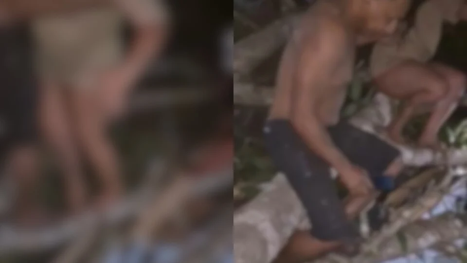 Veja o vídeo: Árvore cai durante temporal e destrói o ‘Bar das Primas’, ponto de entretenimento adulto em Tabatinga