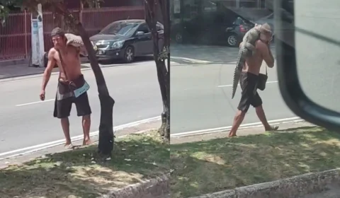 VEJA VÍDEO: Homem é flagrado carregando jacaré nas costas em plena luz do dia no Planalto