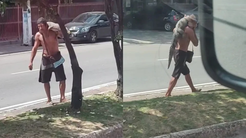 VEJA VÍDEO: Homem é flagrado carregando jacaré nas costas em plena luz do dia no Planalto