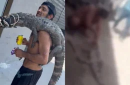 Veja o vídeo: homem que carregou jacaré nas costas é flagrado cortando a cabeça do animal