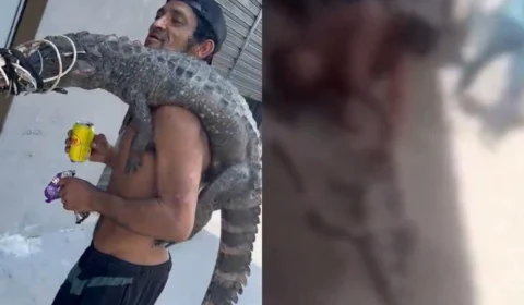Veja o vídeo: homem que carregou jacaré nas costas é flagrado cortando a cabeça do animal