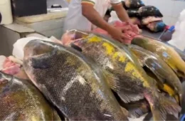 Preços de peixes e carnes na Feira da Manaus Moderna para o fim de semana