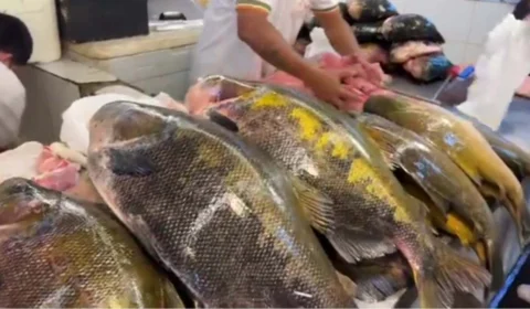 Preços de peixes e carnes na Feira da Manaus Moderna para o fim de semana