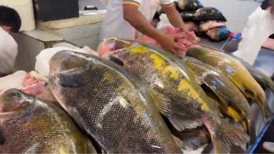 Preços de peixes e carnes na Feira da Manaus Moderna para o fim de semana