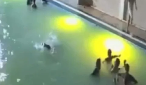 VEJA VÍDEO: Jovem de 24 anos morre afogado em festa na piscina em Kanpur, Índia