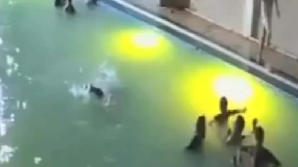 VEJA VÍDEO: Jovem de 24 anos morre afogado em festa na piscina em Kanpur, Índia