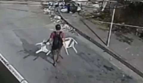 VEJA VÍDEO: Câmera de segurança flagra homem furtando cadeiras de estabelecimento comercial no Japiim