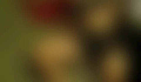 VEJA VÍDEO: Motociclista tem cabeça esmagada por ônibus após desviar de carro na contramão no Compensa