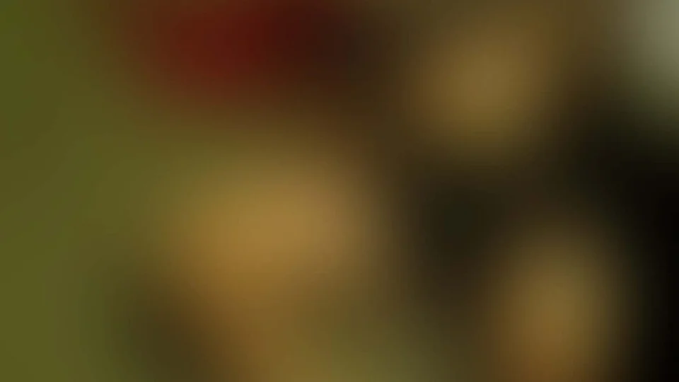 VEJA VÍDEO: Motociclista tem cabeça esmagada por ônibus após desviar de carro na contramão no Compensa