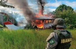 Narcogarimpo na Amazônia: Crime organizado amplifica desmatamento e lavagem de dinheiro