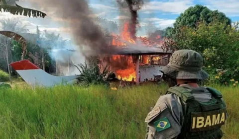 Narcogarimpo na Amazônia: Crime organizado amplifica desmatamento e lavagem de dinheiro