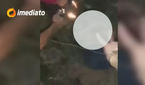 CENA FORTE: Criminosos gravam execução de homem enterrado em cova rasa dentro de área de mata no Conjunto Castanheira