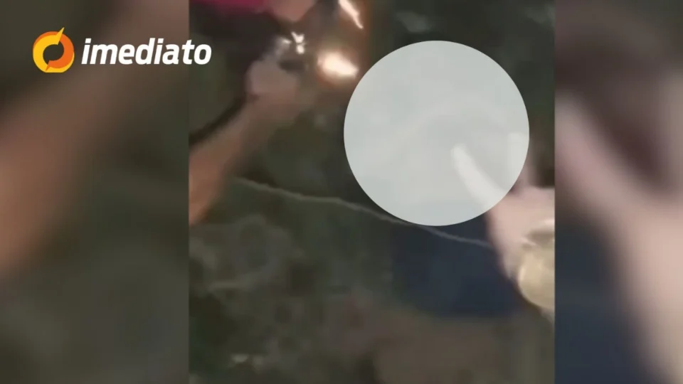 CENA FORTE: Criminosos gravam execução de homem enterrado em cova rasa dentro de área de mata no Conjunto Castanheira
