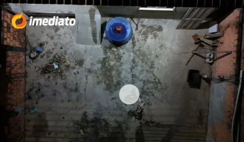 IMAGENS FORTES: Pitbull devora cachorro após ficarem dois meses abandonados em residência no bairro Cidade de Deus