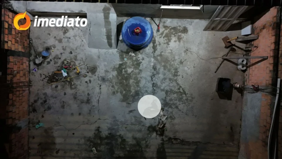 IMAGENS FORTES: Pitbull devora cachorro após ficarem dois meses abandonados em residência no bairro Cidade de Deus