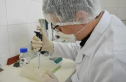 Polícia Científica passa a coletar DNA de familiares para encontrar desaparecidos