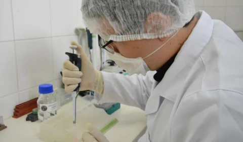 Polícia Científica passa a coletar DNA de familiares para encontrar desaparecidos