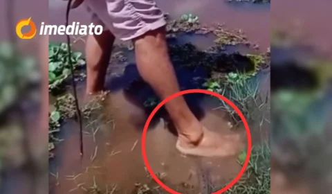 CENA FORTE: Homem pisa em arraia e sofre ferroada após acreditar que animal estava morto