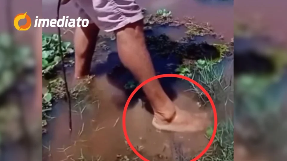 CENA FORTE: Homem pisa em arraia e sofre ferroada após acreditar que animal estava morto